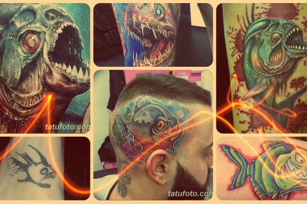 Kraken 12 at