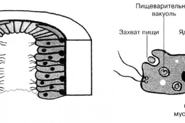 Запрещенный сайт кракен