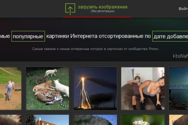 Kraken whitenet ссылка