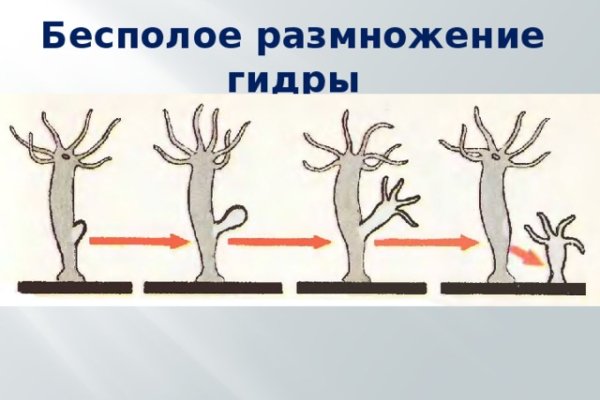 Kra40.cc Вход на сайт главная страница