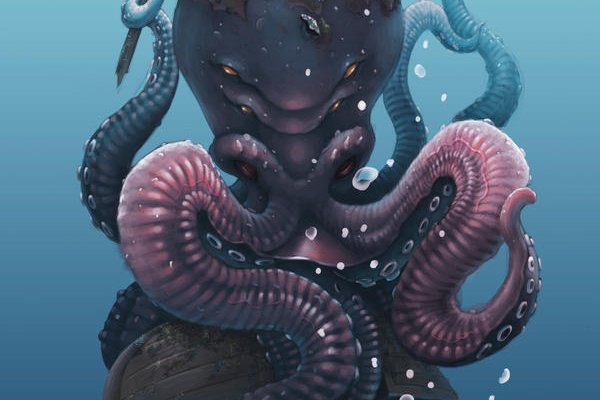 Kraken whitenet tor