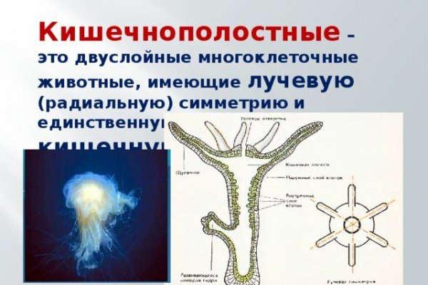 Kraken whitenet ссылка тор