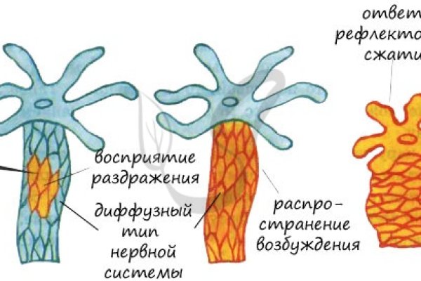 Мега кракен